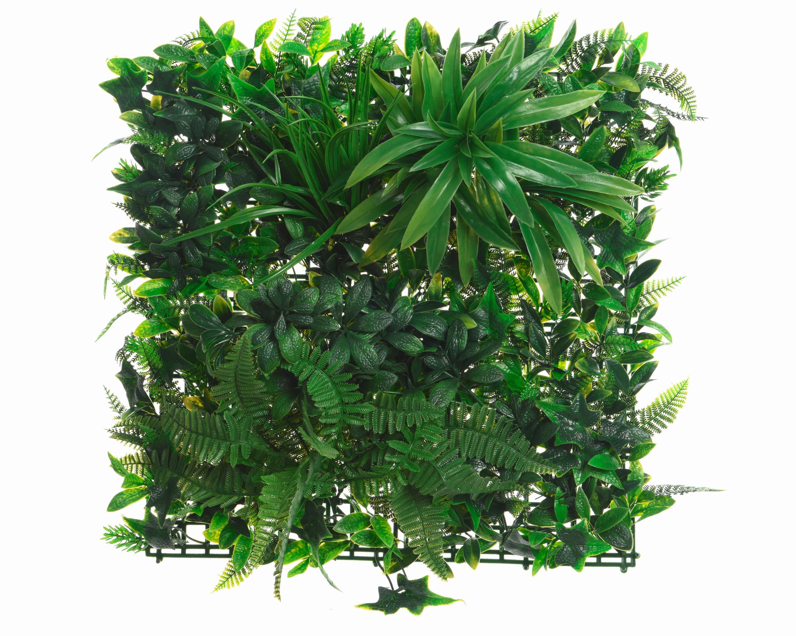 PANEL DEKORATIVNI 30,00/100,00/100,00 cm - zelena, Basics, plastika (30,00/100,00/100,00cm)