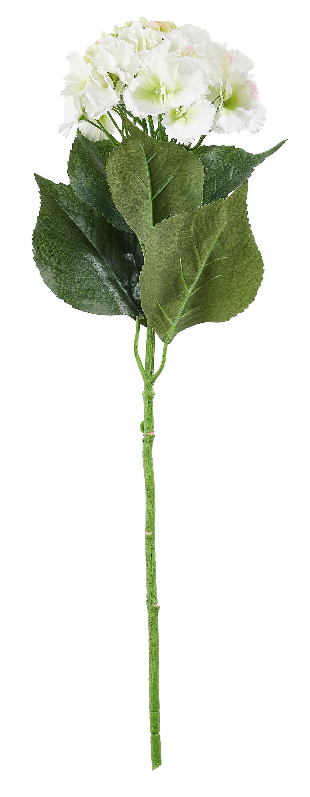 HORTENSIE - Weiss/Grün, Basics, Kunststoff/Textil (70cm)