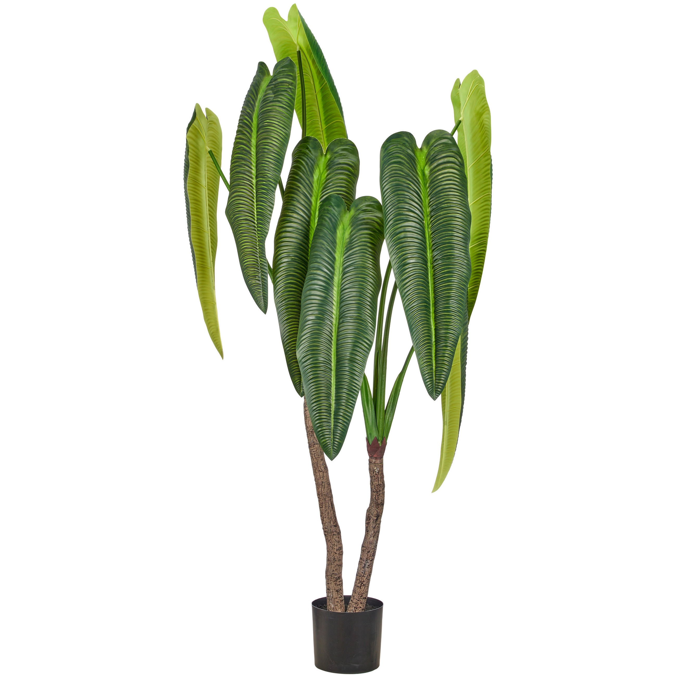 KUNSTPFLANZE Anthurie 175 cm  - Schwarz/Braun, Basics, Kunststoff (175cm)