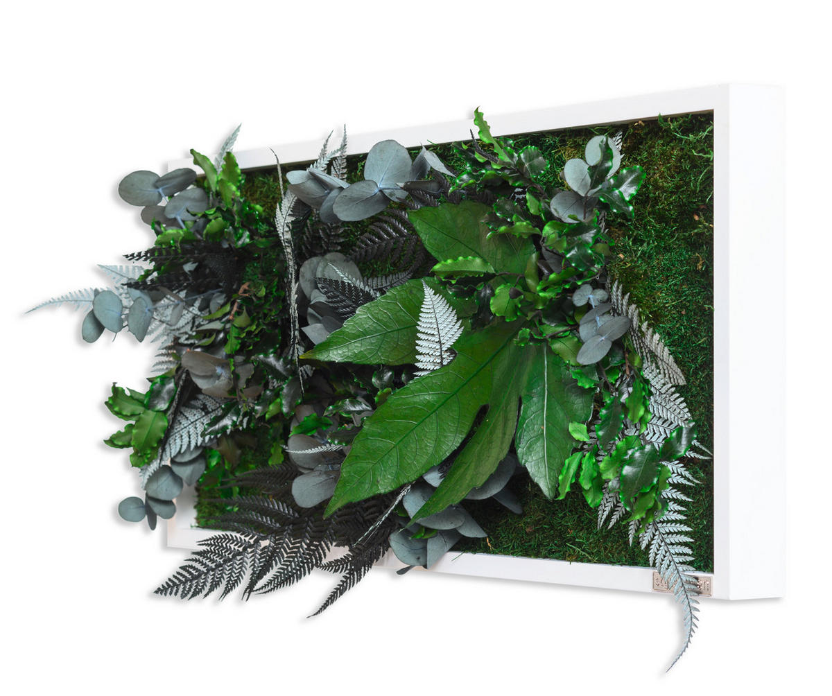 MOOSBILD Stylegreen  - Weiß/Grün, Basics, Naturmaterialien/Holz (57/27/15-17cm)