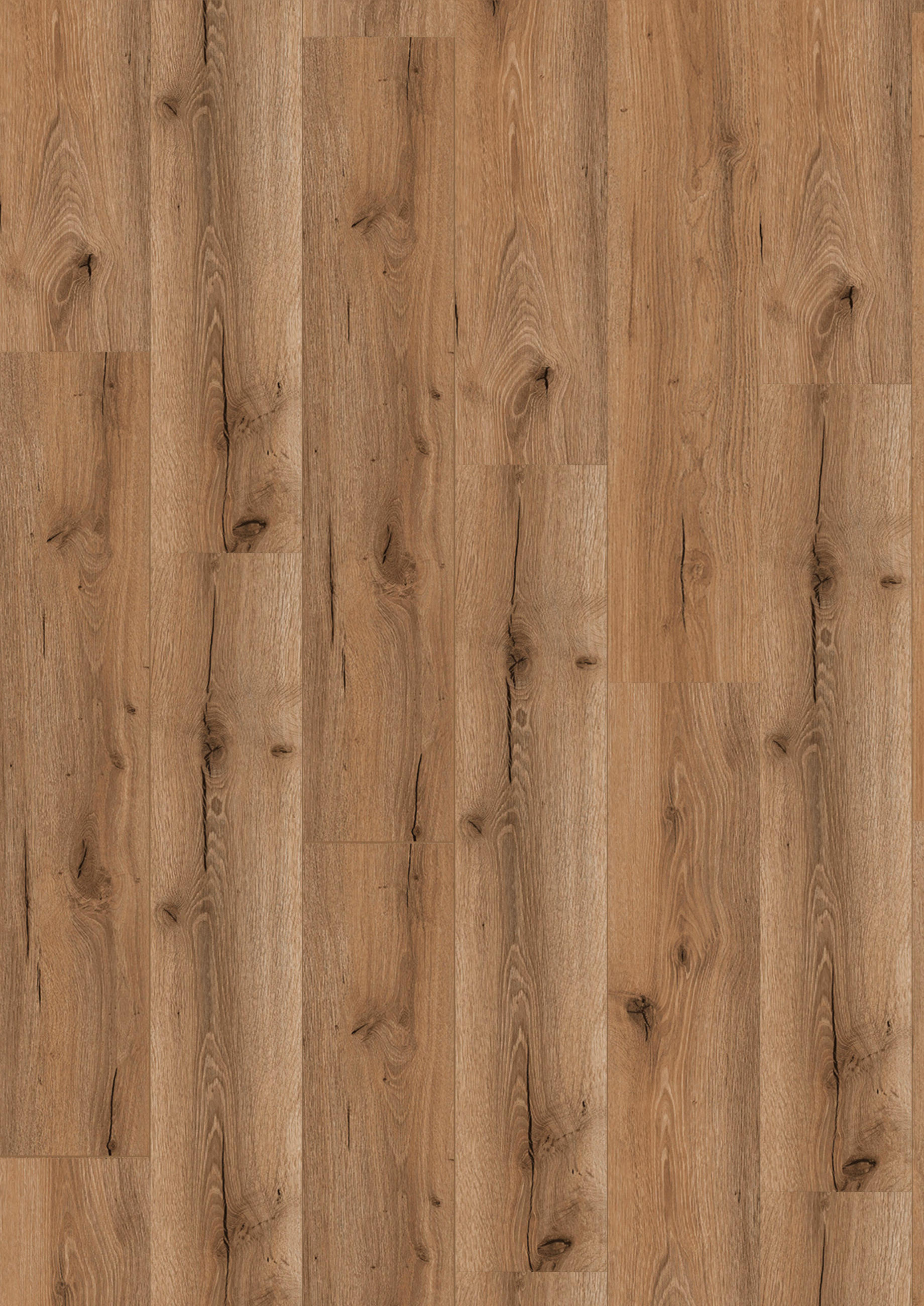 VINYLBODEN SPC 5mm Breitdiele inkl. Trittschall  per  m² - Eichefarben, Basics, Kunststoff (23/122/0,5cm)