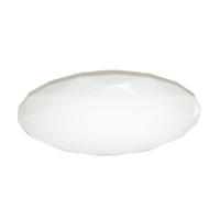 LED MENNYEZETI LÁMPA - fehér, Basics, műanyag/fém (41/7,5cm)