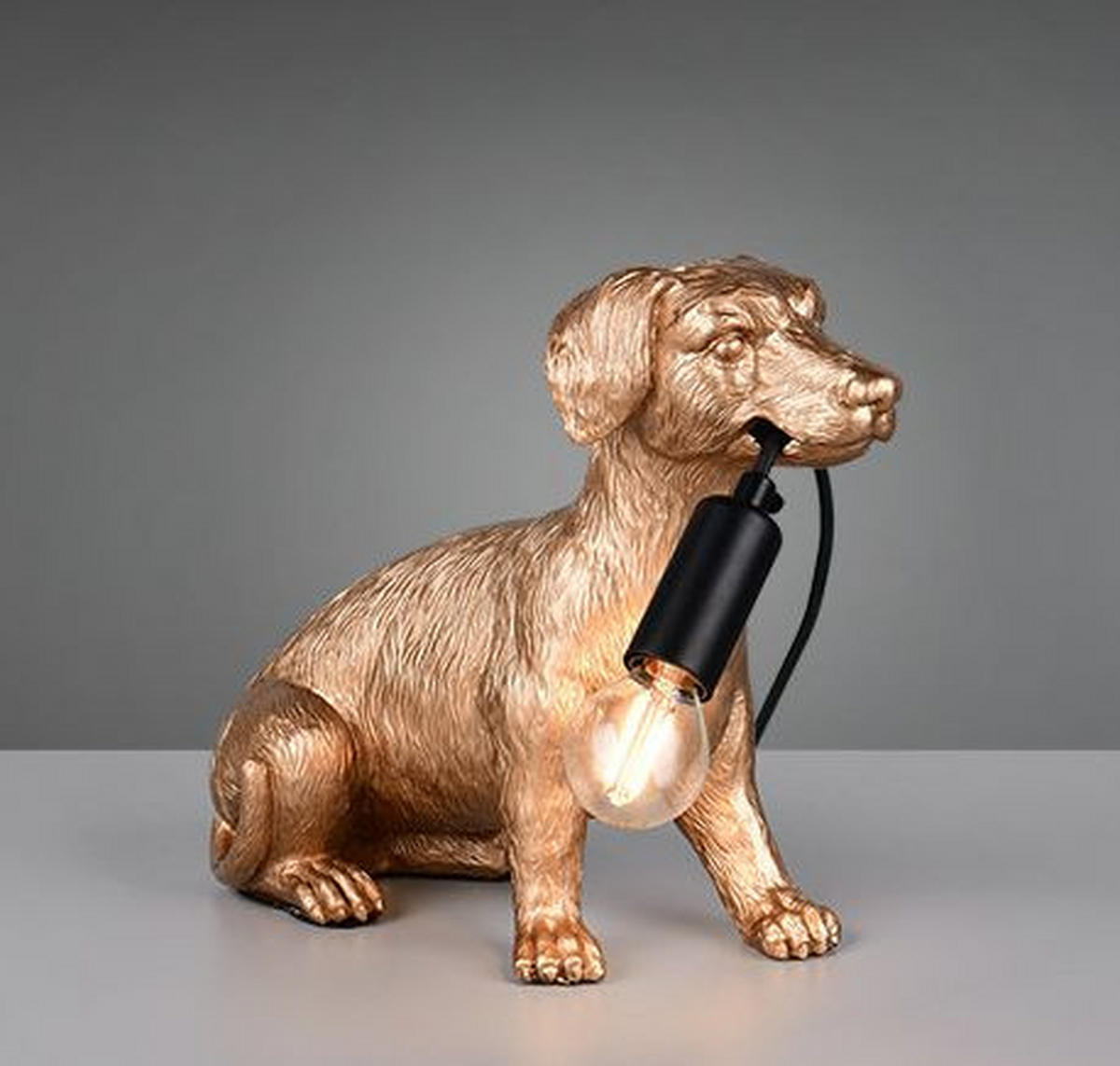 DEKOHUND - Goldfarben, MODERN, Kunststoff (28/23,5/12,5cm)