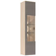 WOHNWAND 4-teilig  in Grau, Eichefarben  284/204/41 cm  - Eichefarben/Schwarz, KONVENTIONELL, Glas/Holzwerkstoff (284/204/41cm) - Carryhome