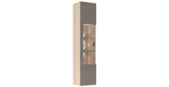 WOHNWAND 4-teilig  in Grau, Eichefarben  284/204/41 cm  - Eichefarben/Schwarz, KONVENTIONELL, Glas/Holzwerkstoff (284/204/41cm) - Carryhome
