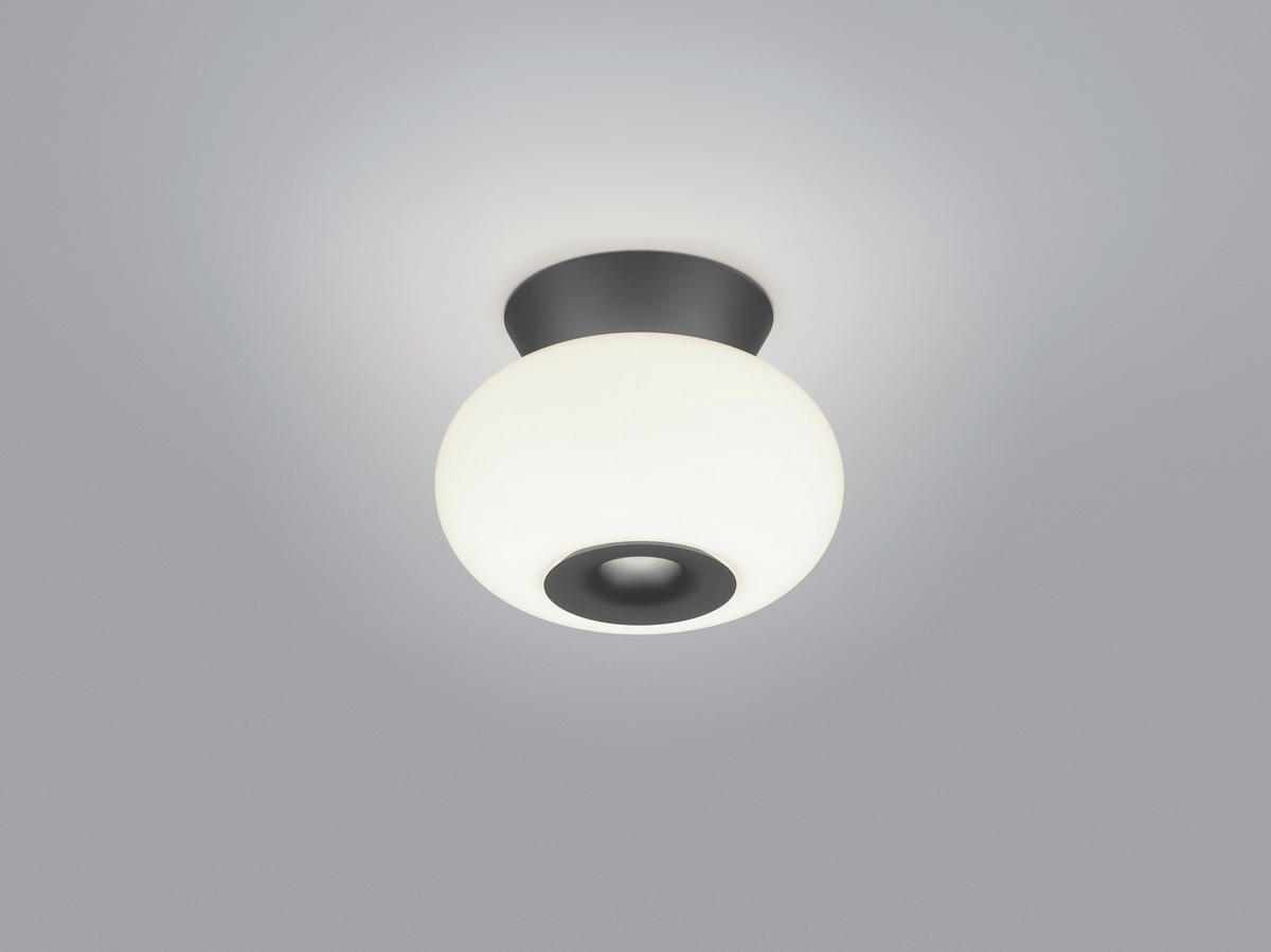 LED-DECKENLEUCHTE Sapo 20/14,5 cm   - Schwarz, Design, Glas/Metall (20/14,5cm) - Helestra