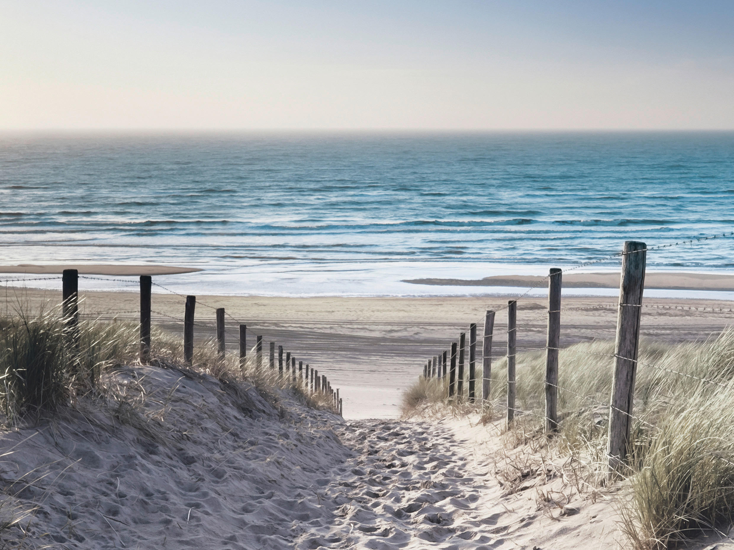 GLASBILD Strand & Meer 30/40 cm  - Multicolor, Natur, Glas (30/40cm) - Euroart