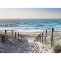 GLASBILD Strand & Meer 30/40 cm  - Multicolor, Natur, Glas (30/40cm) - Euroart