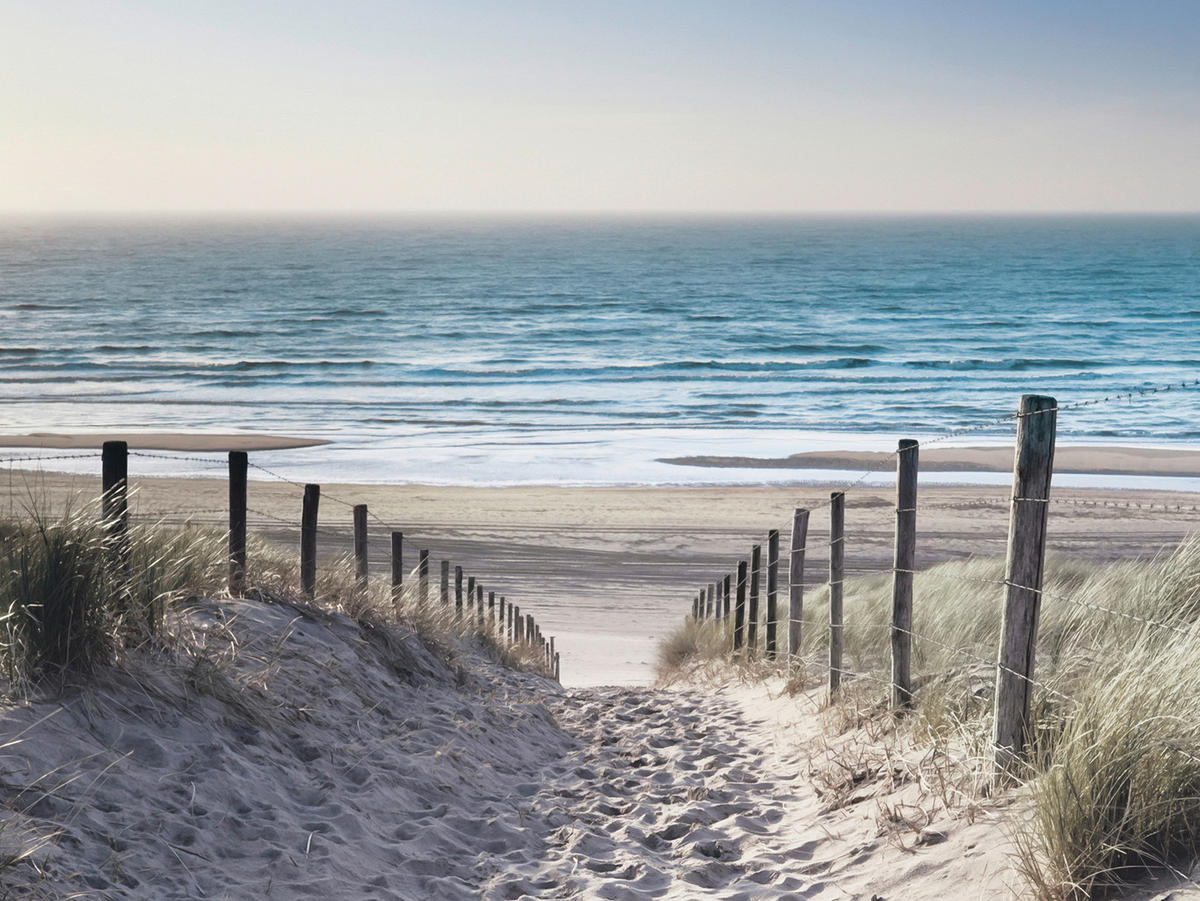 GLASBILD Strand & Meer 30/40 cm  - Multicolor, Natur, Glas (30/40cm) - Euroart