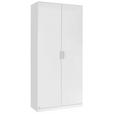 DREHTÜRENSCHRANK 91/210/54 cm 2-türig  - Weiß Hochglanz/Alufarben, Design, Holzwerkstoff/Kunststoff (91/210/54cm) - Carryhome