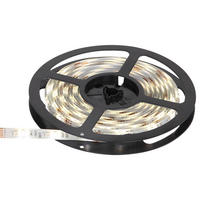LED-STRIP 500 cm  Eduard  - Basics, Kunststoff (500cm) - Globo