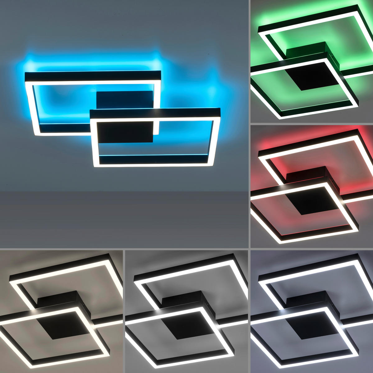 LED-DECKENLEUCHTE 52,5/52,5/9,5 cm    - Schwarz, Design, Kunststoff/Metall (52,5/52,5/9,5cm) - Paul Neuhaus