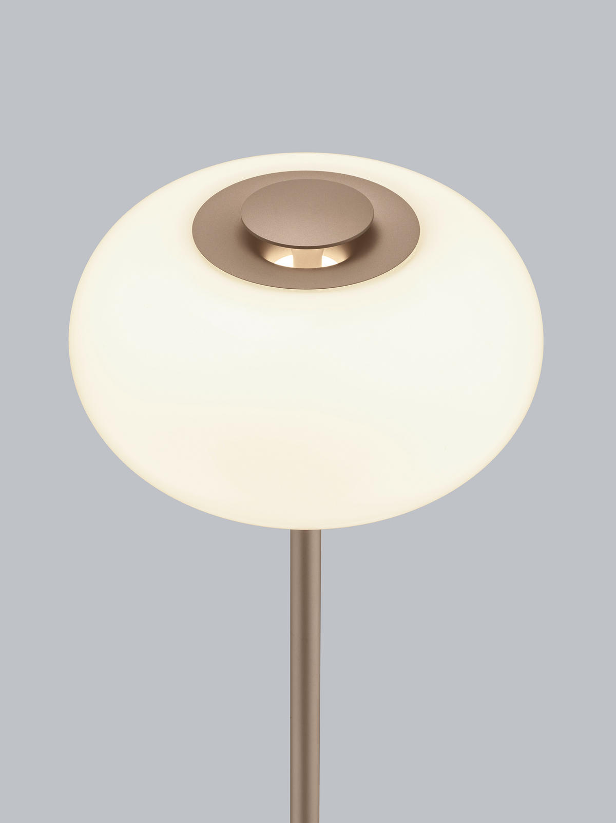 LED-STEHLEUCHTE Sapo 20 / 28/150 cm   - Weiß/Cappuccino, Design, Glas/Metall (20 / 28/150cm) - Helestra