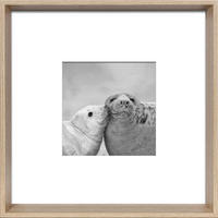 BILDERRAHMEN - Naturfarben, Basics, Glas/Holzwerkstoff (21,3/21,3cm)