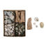 Deko Muschel Set - Naturfarben, Trend, Holz (20/17/6cm) Deko Muschel Set - Naturfarben, Trend, Holz (20/17/6cm)