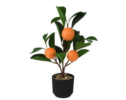 DRVO POMORANDŽE - zelena/narandžasta, Osnovno, plastika (27cm)