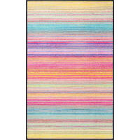 FUßMATTE  75/120 cm  Multicolor  - Multicolor, Trend, Kunststoff/Textil (75/120cm) - wash+dry
