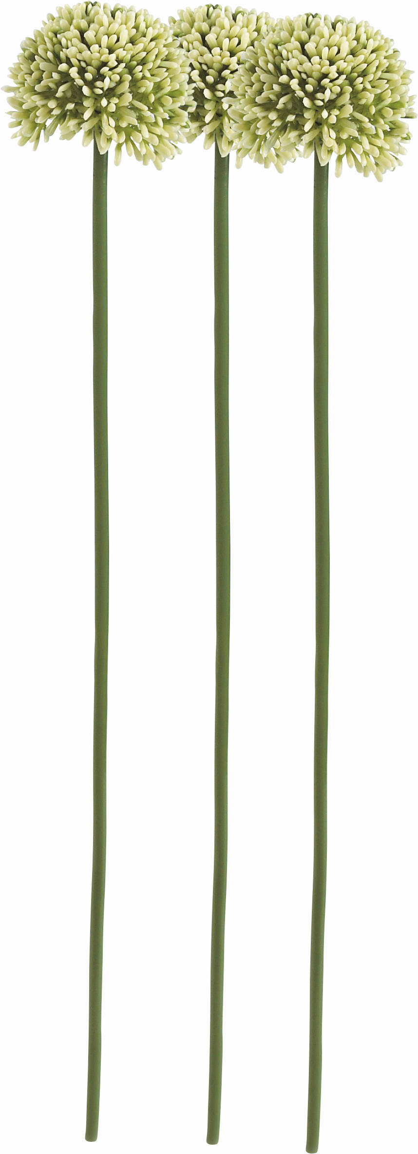 CVIJET UMJETNI  - zelena/krem, Konvencionalno, plastika (46cm)