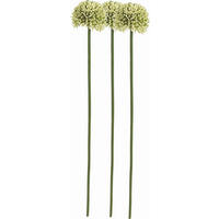 CVIJET UMJETNI  - zelena/krem, Konvencionalno, plastika (46cm)