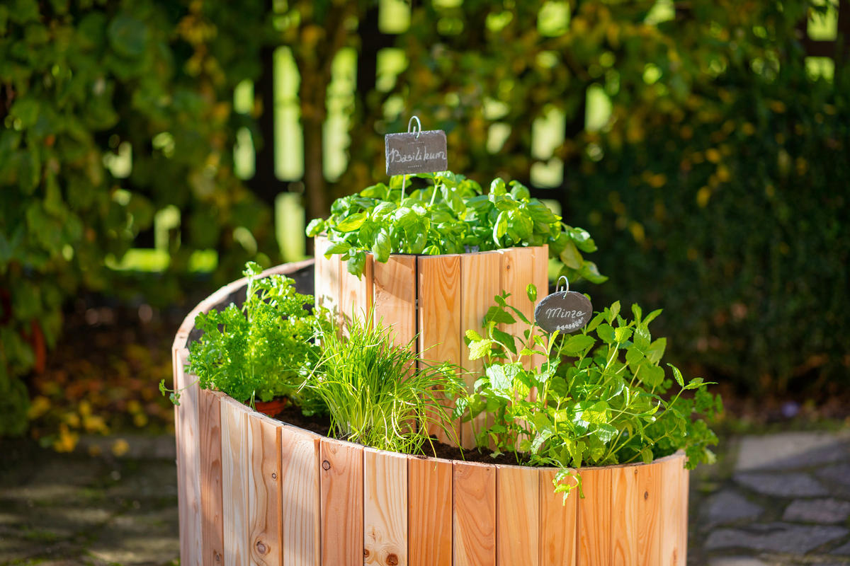 VYVÝŠENÝ ZÁHON   - farba smrekovca, Basics, drevo (55/74cm)