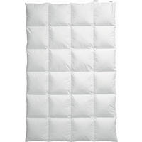 PÁPEROVÁ PRIKRÝVKA, 135/200 cm, perie, páperie - biela, Lifestyle, textil (135/200cm) - Centa-Star