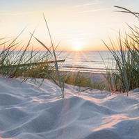 GLASBILD Strand & Meer  - Multicolor, KONVENTIONELL, Glas (30/30/1,40cm) - Euroart