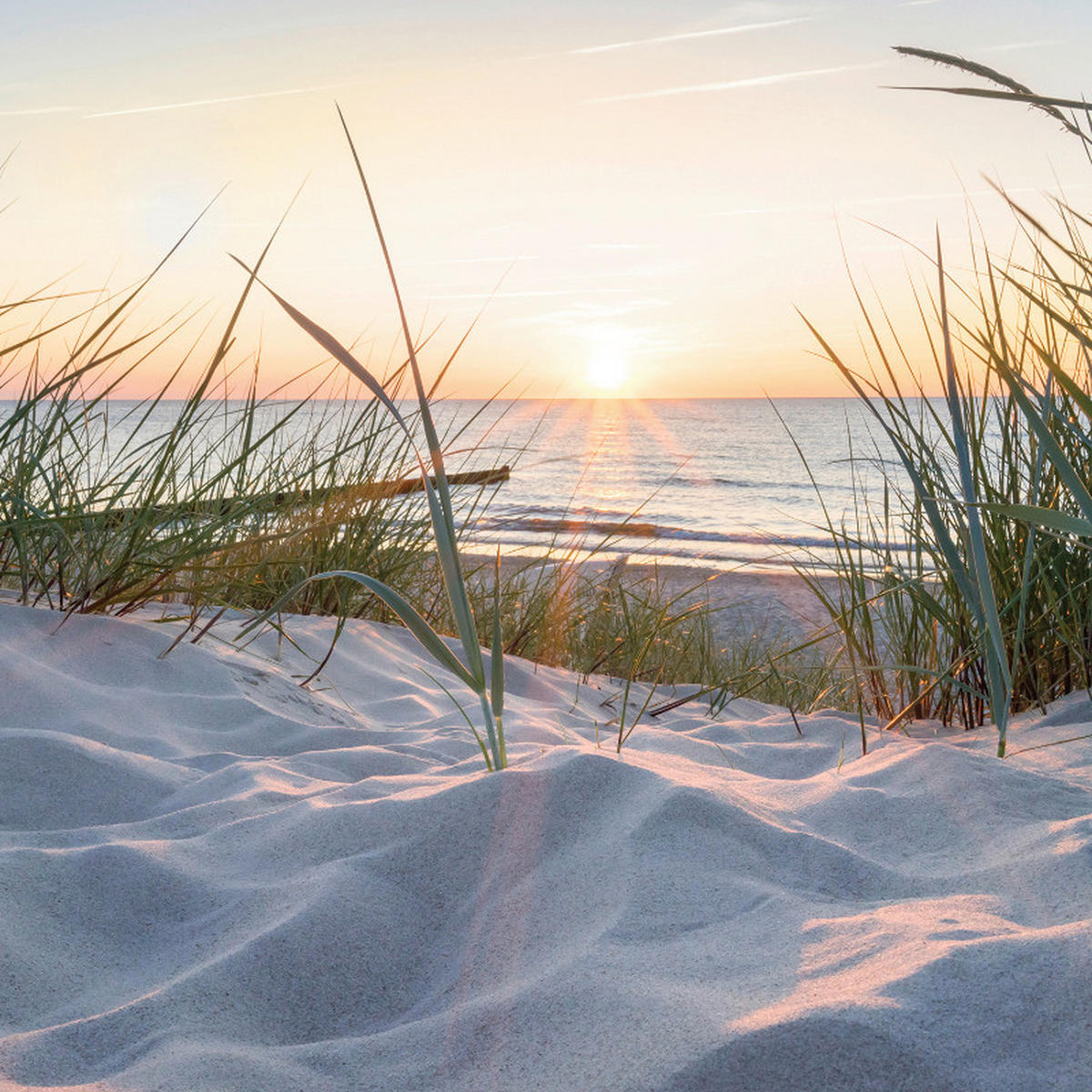 GLASBILD Strand & Meer  - Multicolor, KONVENTIONELL, Glas (30/30/1,40cm) - Euroart