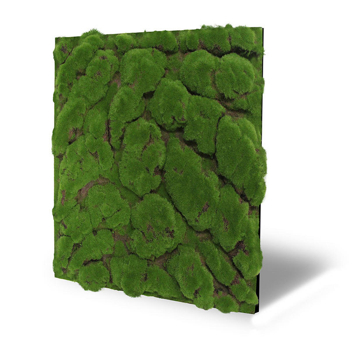AKUSTIKPANEEL Modular Wall System Design Moos 52/52/2.6 cm  - Hellgrün, KONVENTIONELL, Naturmaterialien (52/52/2.6cm) - Jangal