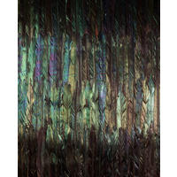VLIESTAPETE  - Multicolor, Basics (200/250cm) - Xora