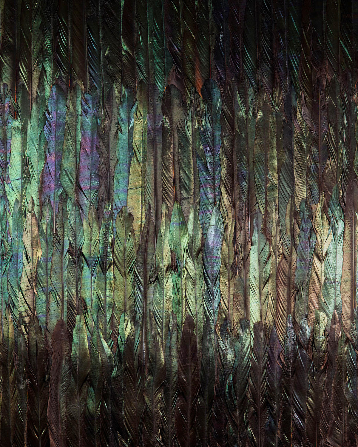 VLIESTAPETE  - Multicolor, Basics (200/250cm) - Xora
