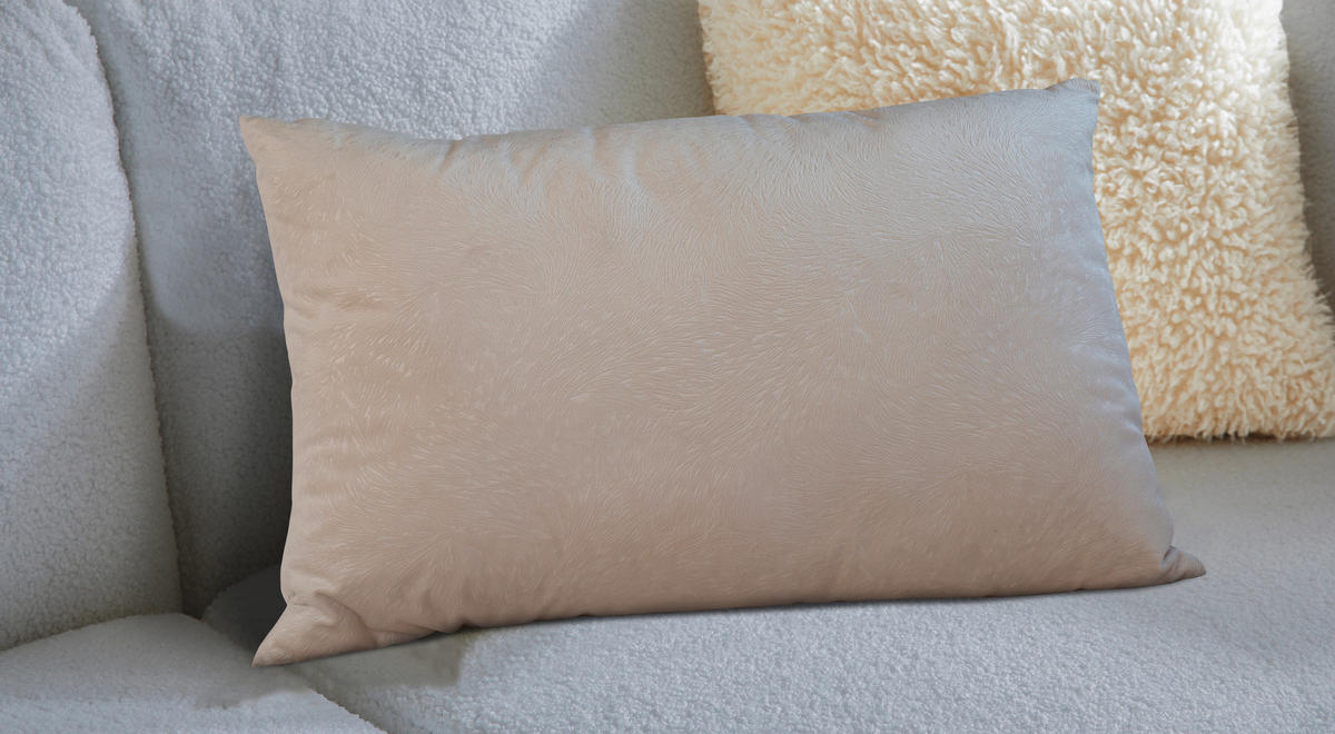 UKRASNI JASTUK   DAYARA  - bež, Osnovno, tekstil (40/60cm) - Esposa