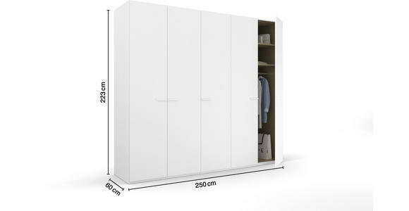 DREHTÜRENSCHRANK  in Weiß  - Weiß, Trend, Glas/Holzwerkstoff (251/223/60cm) - Novel