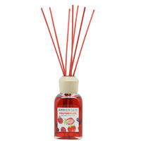 DIŠAVA ZA PROSTOR Red Fruits  - večbarvno, Basics, umetna masa/steklo (100ml) - Ambientair