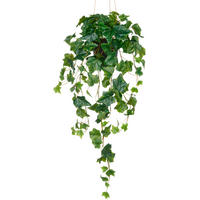 KUNSTPFLANZE Efeu 75 cm  - Schwarz/Grün, Basics, Kunststoff (75cm) - P & B