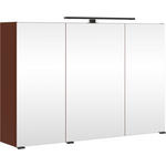 SPIEGELSCHRANK 100/64/20 cm  - Rot/Schwarz, KONVENTIONELL, Glas/Holzwerkstoff (100/64/20cm) - Xora