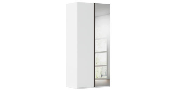 DREHTÜRENSCHRANK 101/235/61 cm,  in Weiß, 2-türig  - Graphitfarben/Weiß, Basics, Glas/Holzwerkstoff (101/235/61cm) - Novel