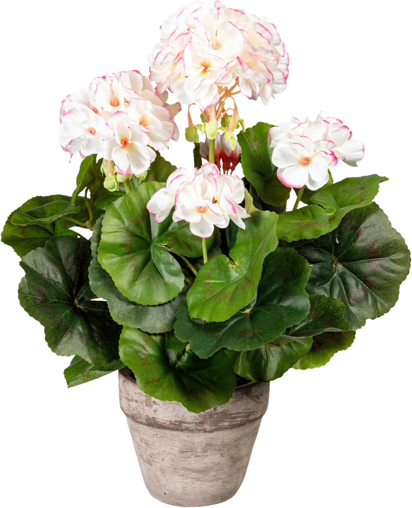 KUNSTPFLANZE Geranie 34 cm  - Rosa/Weiß, Design, Keramik/Kunststoff (34cm) - P & B