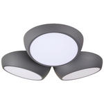 LED-DECKENLEUCHTE 52/48,5/12,5 cm   - Anthrazit, LIFESTYLE, Metall (52/48,5/12,5cm) - Novel