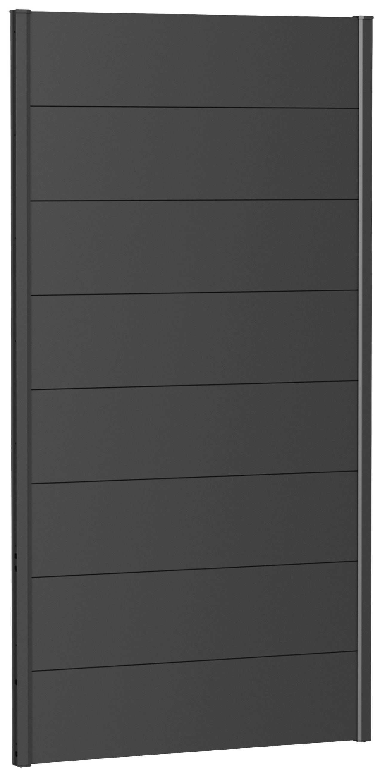 Biohort Sichtschutz Dunkelgrau 96x182x4.4 cm