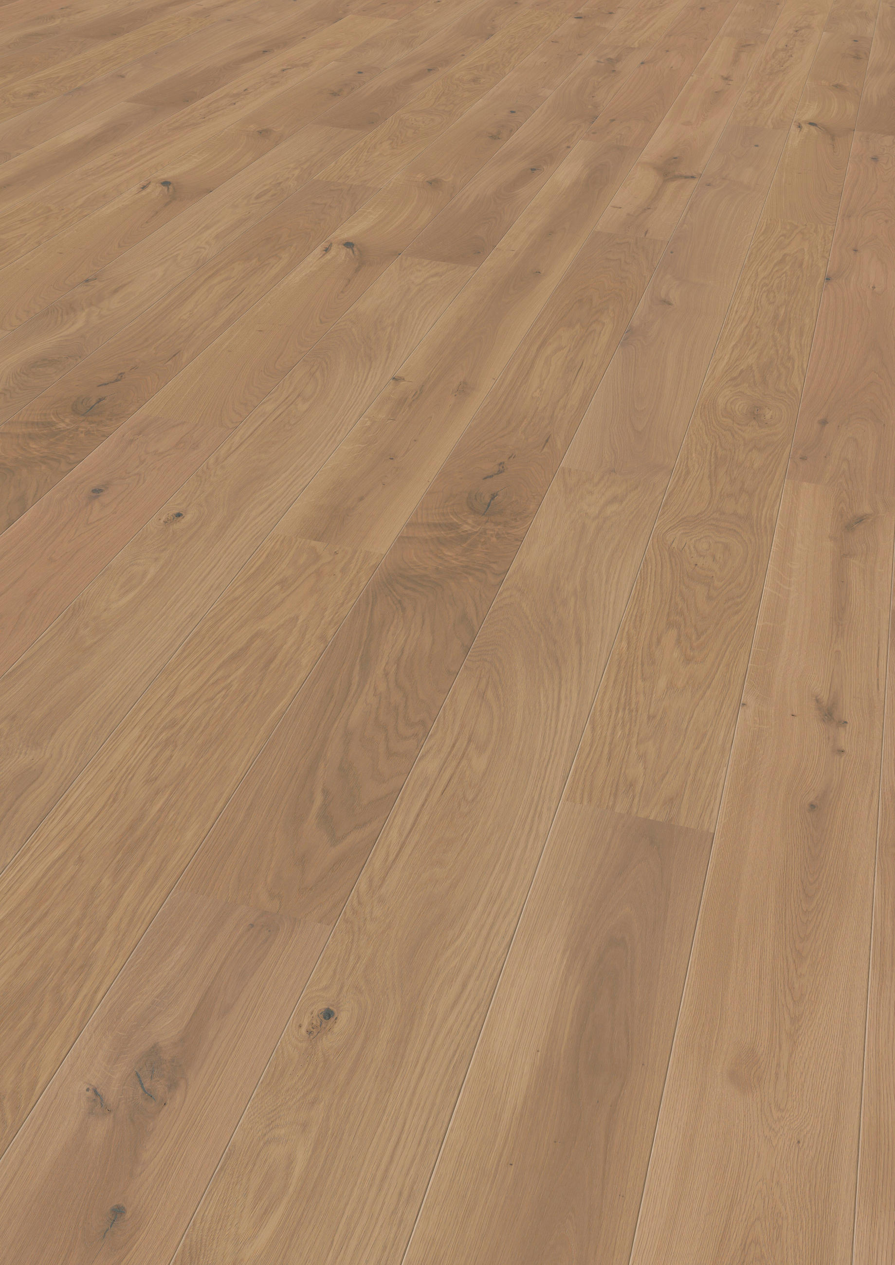 LANDHAUSDIELE Marcanto Trend Eiche Champagne 100012101  per  m² - Design, Holz (220,5/17,6/1,3cm) - Tilo