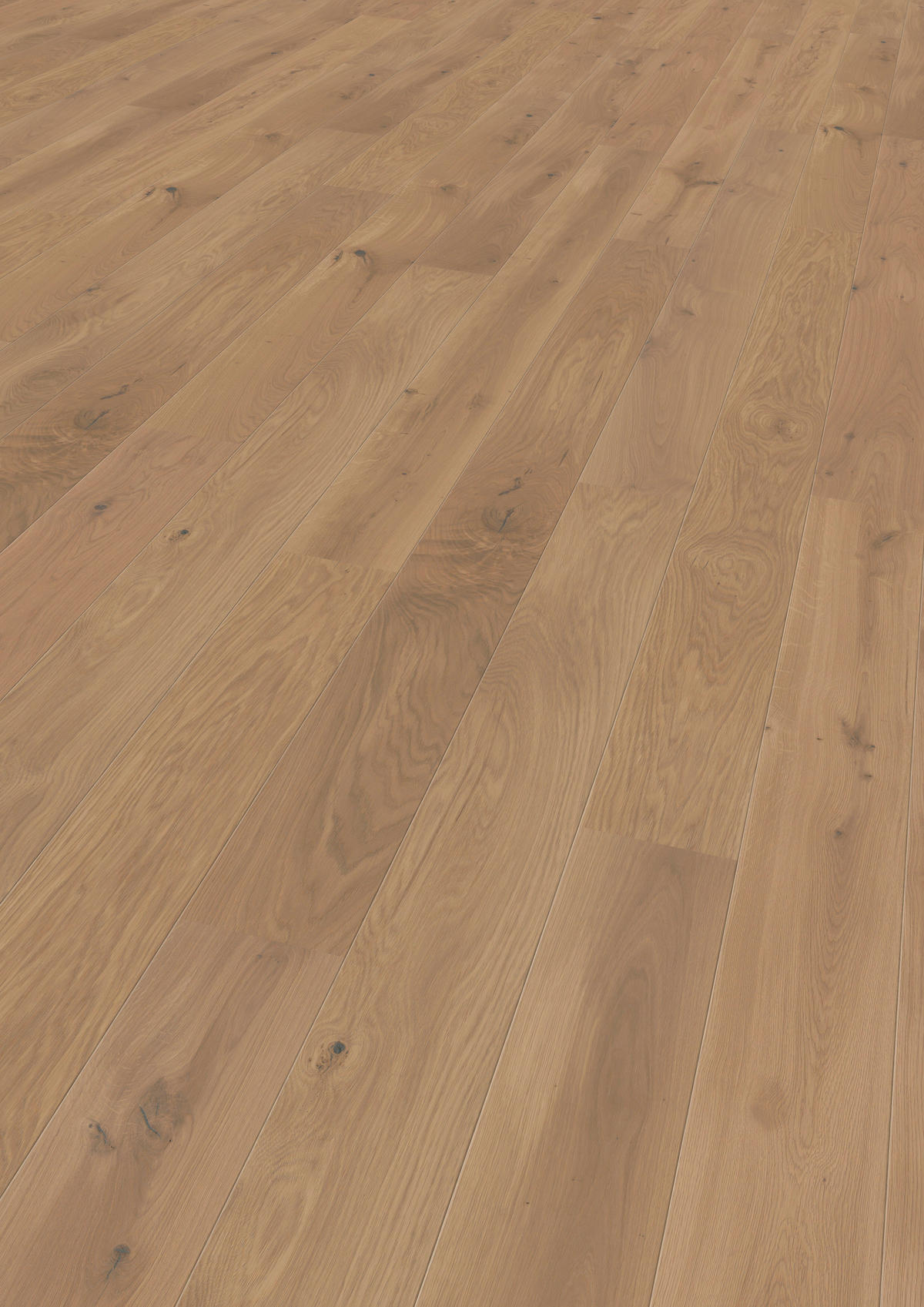 LANDHAUSDIELE Marcanto Trend Eiche Champagne 100012101  per  m² - Design, Holz (220,5/17,6/1,3cm) - Tilo