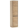 AKTENSCHRANK Asteiche Eiche Bianco  - Eiche Bianco, KONVENTIONELL, Holz/Holzwerkstoff (45/198/40cm) - Linea Natura