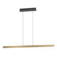 ZÁVĚSNÉ SVÍTIDLO,  10/150/150 cm - černá/světle hnědá, Basics, kov/plast (10/150/150cm)