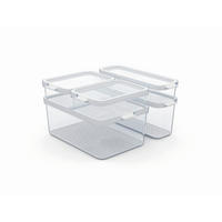 FRISSENTARTÓDOBOZ-SZETT  - Basics (29,2/28,4/17cm) - Rotho
