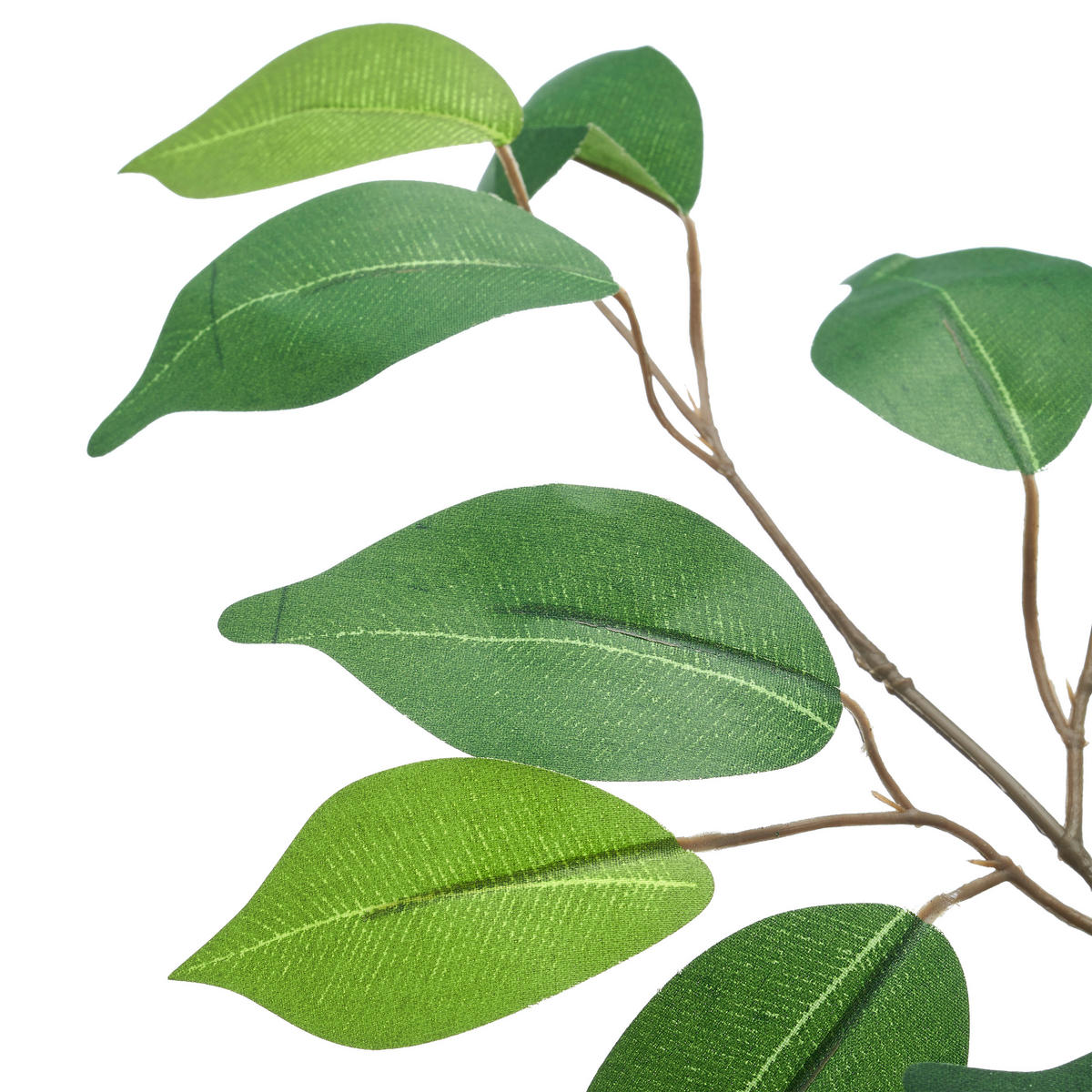 KUNSTPFLANZE Ficus Benjamina 100 cm  - Schwarz/Braun, Basics, Kunststoff (100cm)