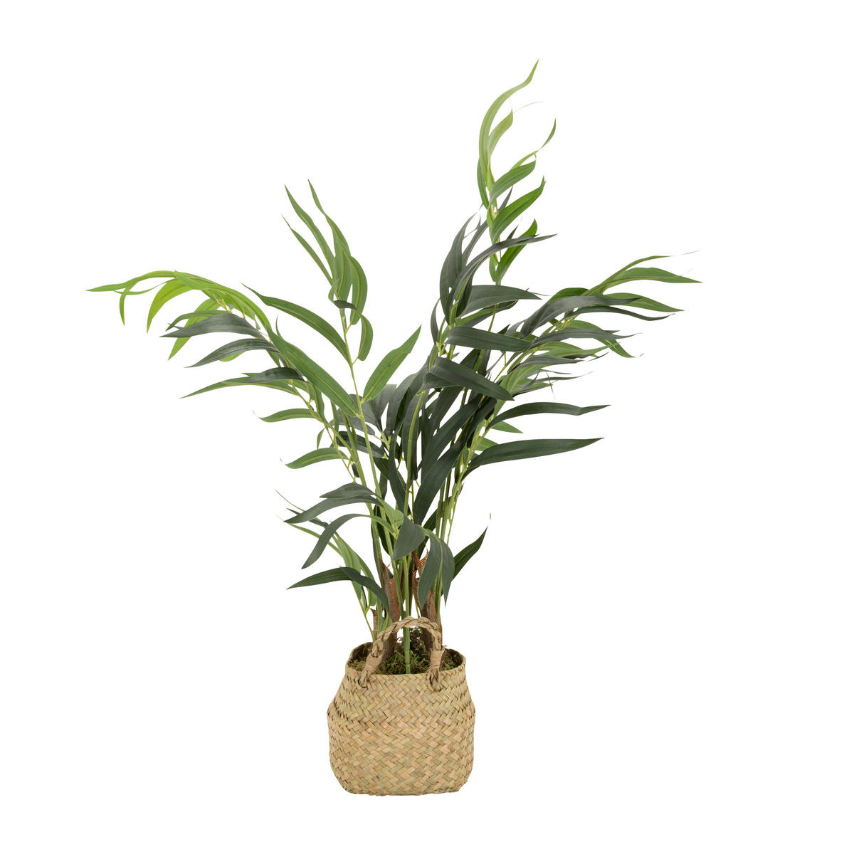 KUNSTPFLANZE Palme  - Hellbraun/Grün, Basics, Kunststoff/Textil (50/65/50cm) - MID.YOU