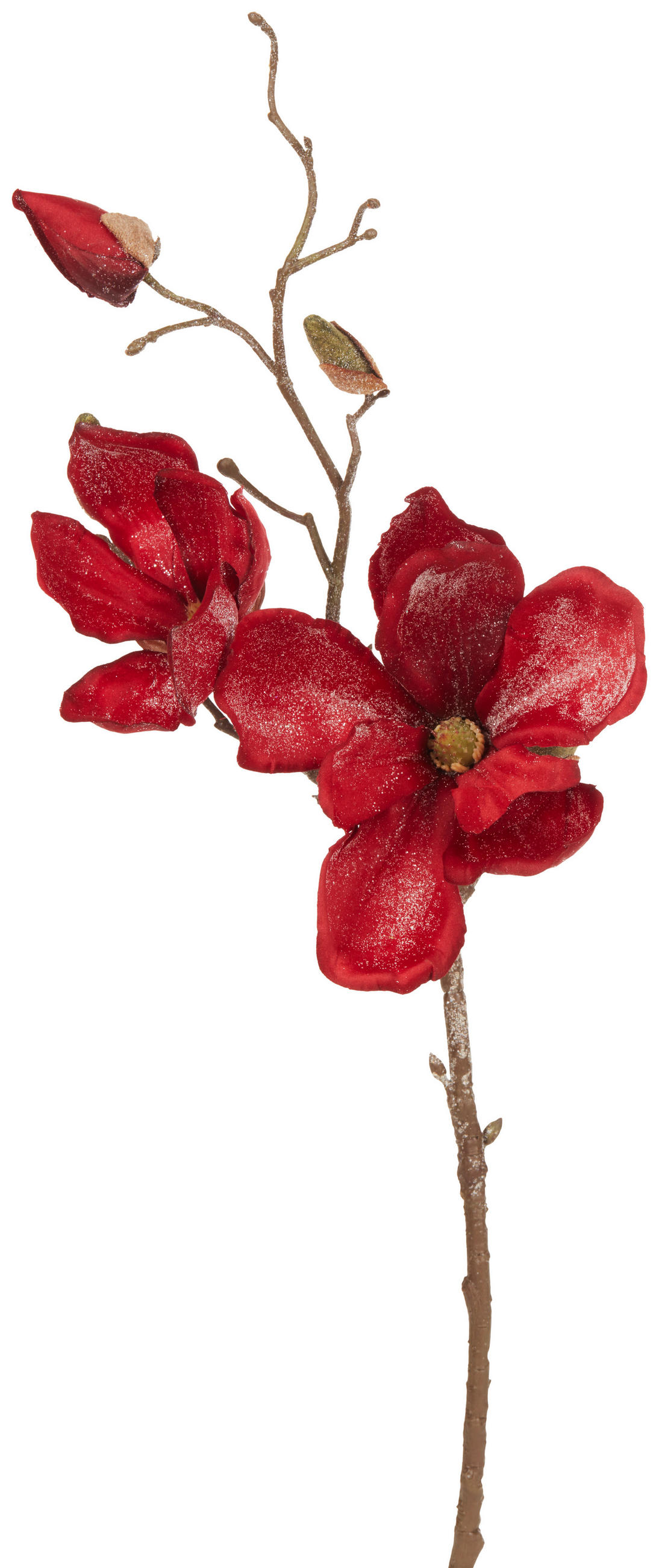 Kunstpflanze Magnolie Dunkelrot H: 50 cm Dowe Rot