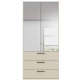 DREHTÜRENSCHRANK 101/223/61 cm,  in Champagner, 2-türig  - Chromfarben/Champagner, Basics, Glas/Holzwerkstoff (101/223/61cm) - Novel