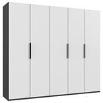 DREHTÜRENSCHRANK  in Graphitfarben, Weiß  - Schwarz/Graphitfarben, KONVENTIONELL, Holzwerkstoff/Metall (250/236/58cm) - Hom`in