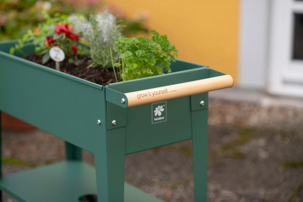 HOCHBEET 35/80/75 cm  - Olivgrün, Basics, Metall (35/80/75cm)